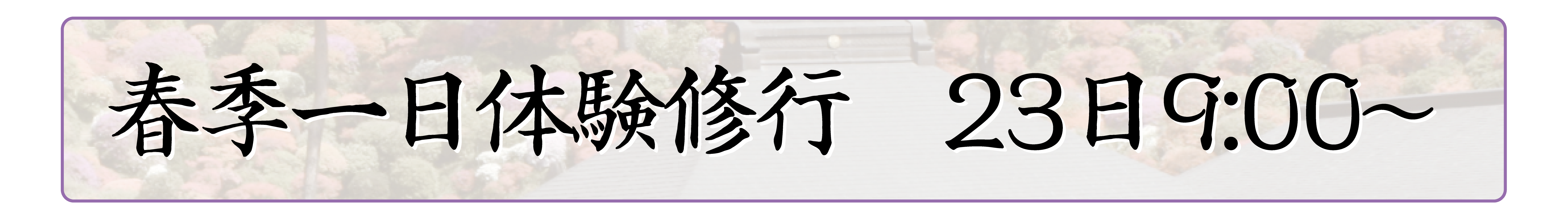 行事内容