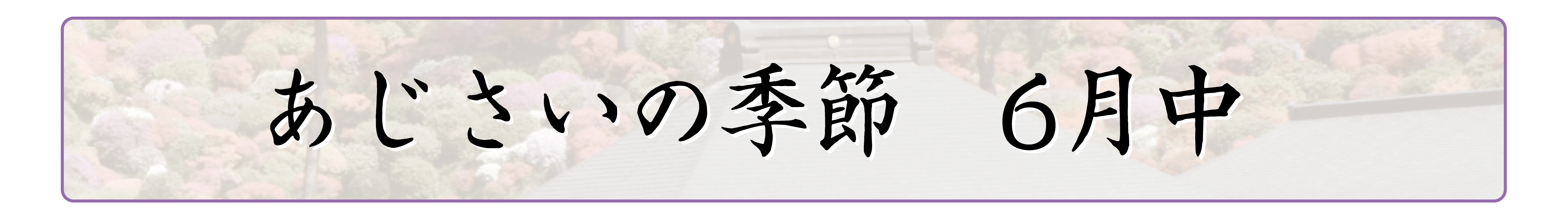 行事内容